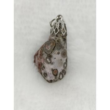 Pierre Jaspe Léopard