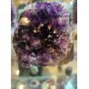 Druse Améthyste